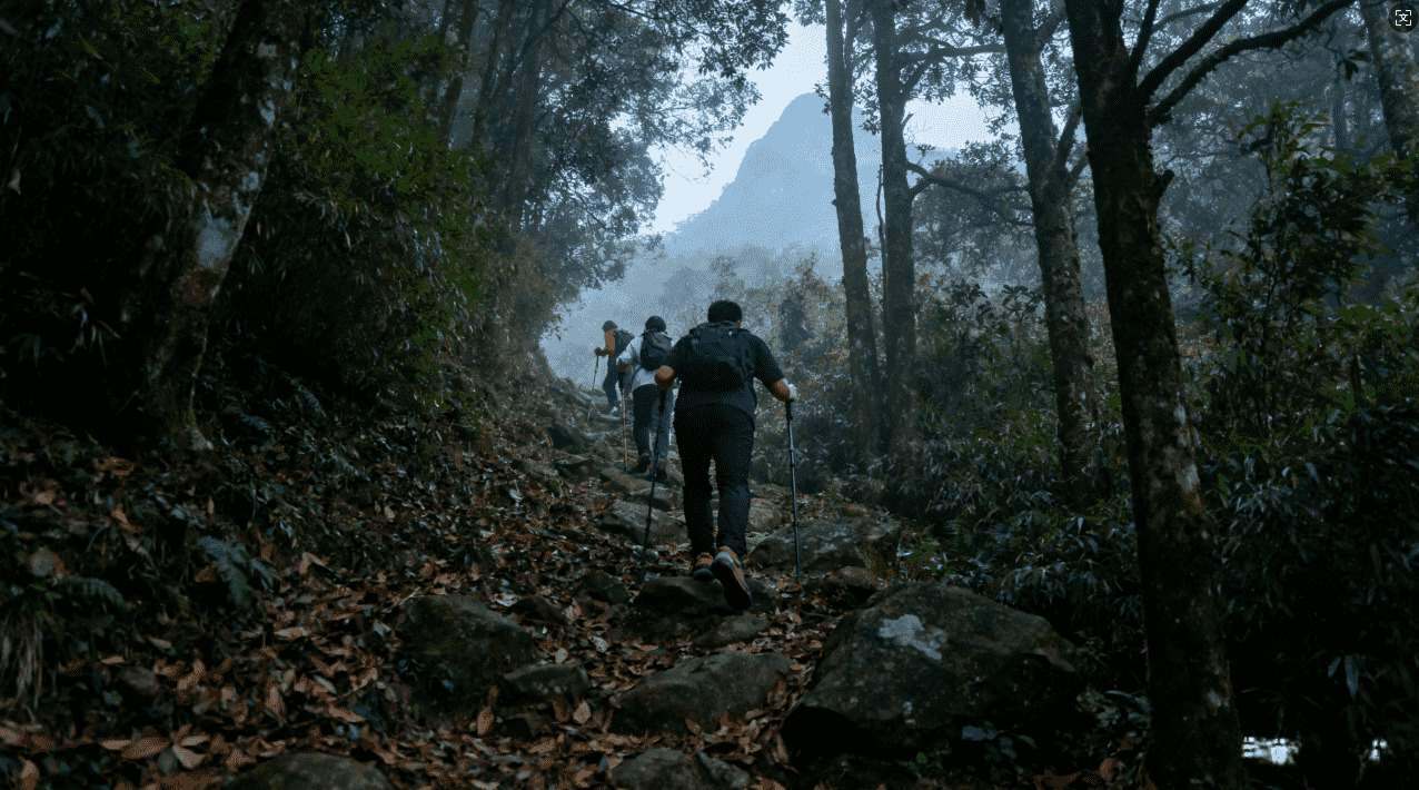 玩转推特：值得信赖的加速器推荐指南